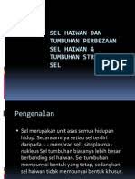 Maybe you would like to learn more about one of these? Sel Haiwan Dan Tumbuhan Perbezaan Sel Haiwan Tumbuhan Struktur Sel