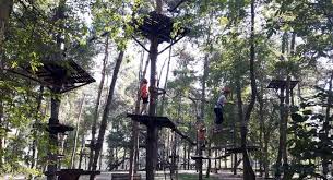 Dacă vrei să vizitezi cascadele krushuna, le găsești în localitatea cu același nume, la numai 200 de km distanță de bucurești. Zone De Agrement Langa Bucuresti Ghid Turistic Romania