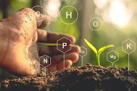 Mineral Nutrition Criteria Methods Types Of Nutrients With Functions Mineral Nutrition Soil Health Nutrient Deficiency