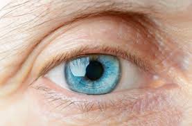 Image result for Contact Lens