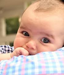 Chipotle Fig Glazed Chicken & Fajita Fiesta