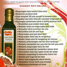Ia merupakan sumber yang sangat baik vitamin a, vitamin e, kalium dan asid folik yang sangat penting. Gulsan Nar Eksisi Jus Buah Delima Pomegranate Concentrate Health Beauty Skin Bath Body On Carousell