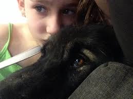 Ayla King (@AylaKing2)