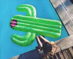 Aufblasbarer Riesen Kaktus Kaktus Aufblasbar Luftmatratze