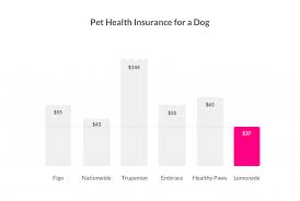 Plans covering wellness, illness, emergency & more. Is Pet Insurance Worth It Lemonade Blog