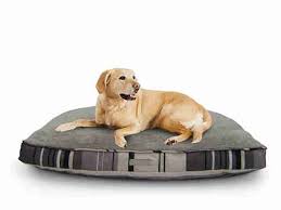#8 cycle dog duraplush chew resistant dog bed. Best Dog Bed For Chewers 6 Indestructible Options
