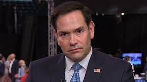 Veronica Berman's Instagram, Twitter & Facebook