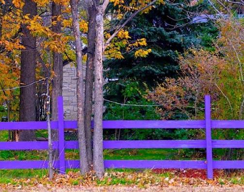 Purple markings on private land in Texas