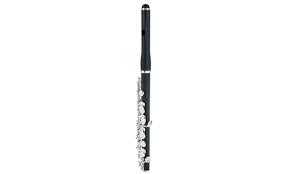 Flute concerto in d major, rv 427; Pearl Flutes Pfp 105e Piccoloflote Musikhaus Thomann
