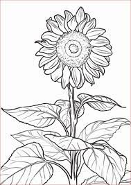We did not find results for: 30 Gambar Sketsa Bunga Mudah Bunga Matahari Mawar Tulip Sakura Teratai Sepatu Melati Dll Seni Budayaku