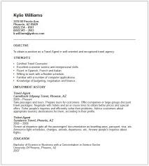 Sample Airlines Ticketing Agent Cv Free Resume Templates Professional Resume Samples Customer Service Resume Job Resume Samples