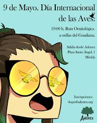 Esta organización es una red de ongs (la de argentina es aves argentinas) que tiene como objetivo la conservación de todas las especies de aves que habitan en la tierra así como de sus hábitats. Dia Internacional De Las Aves 9 De Mayo Ruta Ornitologica Por Los Margenes Del Albarregas Y El Guadiana