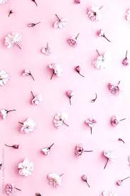 Maybe you would like to learn more about one of these? 29 Iphone Wallpaper Pink Pastel Ryan Wallpaper