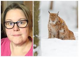 Se filmen när Lisa mötte fyra lodjur: ”En fantastisk syn”