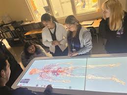MLEC students use virtual cadaver to learn biology