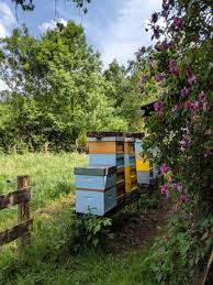 Finden sie über eine million kostenlose vektoren, clipart graphics, vektorgrafiken und design vorlagen die von designern auf der ganzen welt erstellt wurden! Eallerdings Photos Images Assets Adobe Stock