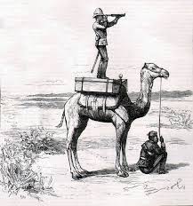 Camel turkish royal opens up to reveal fine lattice work on the filter and the words turkish i did alternatively experience several technical points the usage of this site. Camel Corps