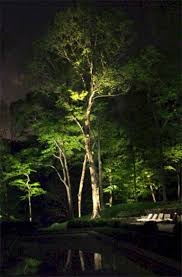 Spectacular Landscape Lighting Ideas That Will Enliven You Up Lanscapelighting Ba Outdoor Lighting Landscape Outdoor Landscape Lighting Outdoor Tree Lighting