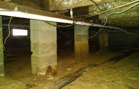 Search a wide range of information from across the web with quicklyanswers.com Crawlspace Mold What You Should Know