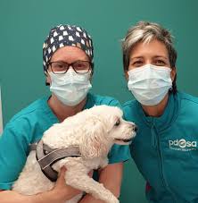 Leicester PDSA Pet Hospital
