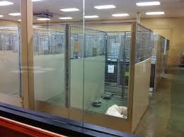Overnight stays in the kitty college cost just $20, with day rates costing only $13! Petsmart Pet Hotel Near Me Cheap Buy Online