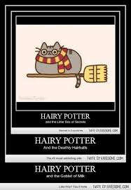 Hairy Potter Harry Potter Universal Harry Potter Harry Potter Jokes