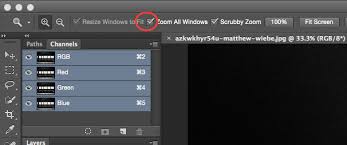 Photoshop's zoom facility is very versatile and allows you to zoom in and out of an image in many the most obvious method is the zoom tool. How Can You Syncronize Two Windows Files That Copy Zooming And Panning In Photoshop Graphic Design Stack Exchange