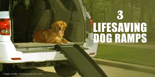 As pets get older, they might need a bit more assistance getting cozy and situated in their favorite spot on your bed or the sofa. 6 Best Dog Ramps Folding Telescoping Steps Stairs More