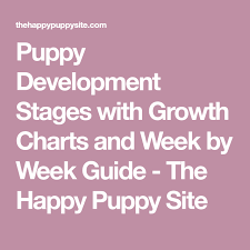 Puppy Development Stages With Growth Charts And Week By Week