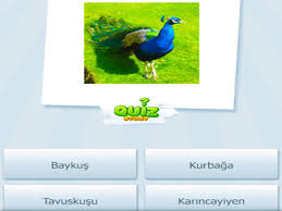 Hayvan Isimleri Bulmaca Oyunu Harf Ile Turkce Kelime Bul