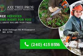 Axetreepros Tree Removal Near Me Posts By Axetreepros Tree Care Tree Trimming Service Tree Removal