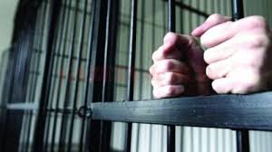 Este demn de remarcat faptul că este dificil să răspundem în mod fiabil la această întrebare dar comunitatea ei relativă dowdy sau warty, pot supraviețui până la 120 de ani. Cati Locuitori Are Oradea Instiletende It