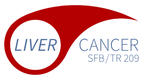 In cancer patients, changes in the skin color can be due. Livercancer