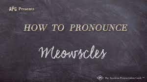 The great pronunciation debate has been reignited. How To Pronounce Meowscles Meowscles Pronunciation Youtube