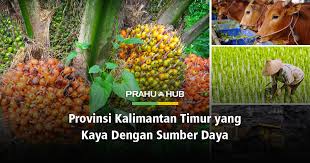 Daerah penambangan minyak bumi dan gas alam terdapat di daerah serawak dan lepas pantai semenanjung malaysia (miri dan lutong). Provinsi Kalimantan Timur Yang Kaya Dengan Sumber Daya