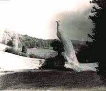Traditional horticultural show and sports held in the rusland valley each year. Rusland Hall Wikipedia