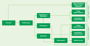 Becoming An Avocado Grower New Zealand Avocado