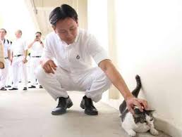 He details learning about how precious time spent with loved ones is in the worst possible way. Pap Animal Rights Mp Louis Ng Should Look Into Spca S Failure All Singapore Stuff Real Singapore News
