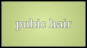 Pubic Hair Meaning Youtube