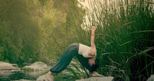 Jun 21, 2021 · kundalini yoga combines exercise, meditation and chanting practitioners say sessions—in which participants wear white and focus on movement and breath—reduce stress and boost energy levels. Yoga Meditation Live Streamed Classes In Seattle At