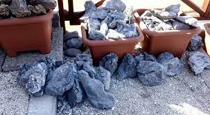 Itulah 11 jenis tanaman aquascape yang bisa hidup tanpa perlu bantu co2. 10 Jenis Batu Aquascape Yang Bagus Lengkap Disertai Harganya Hobinatang