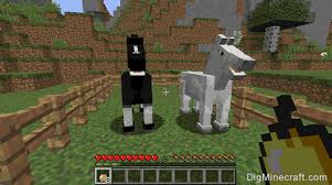 Maybe we could breed zombie pigman in mcpe next :o🔍new to the channel? How To Breed Horses In Minecraft
