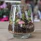 Terrarium Workshop – A Seasonal Themed Make & Take! event image