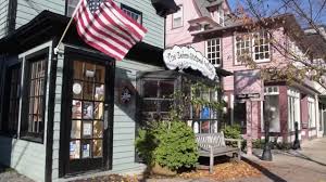 Image result for zebra striped whale