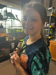 Bearded dragon gets new habitat