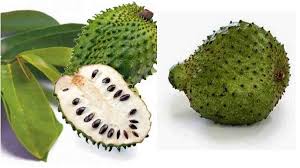 11 khasiat durian belanda, sebab untuk anda amalkan. Manfaat Buah Sirsak Matang Yang Berkhasiat Atasi Asam Urat Liver Hingga Hipertensi Harapan Rakyat Online