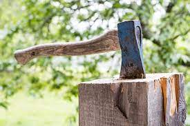 A Word A Day Hatchet Job