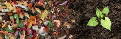 And it can divert as much as 30% of. How To Make Organic Compost Love The Garden