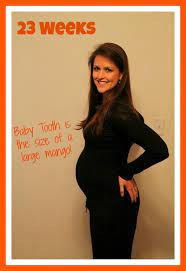 23 Weeks Pregnant Baby Bump Sweet Tooth Sweet Life
