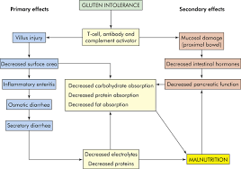 alterations of digestive function in children basicmedical key